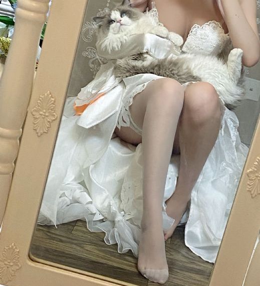 成人中国黄大片_西瓜视频在线观看